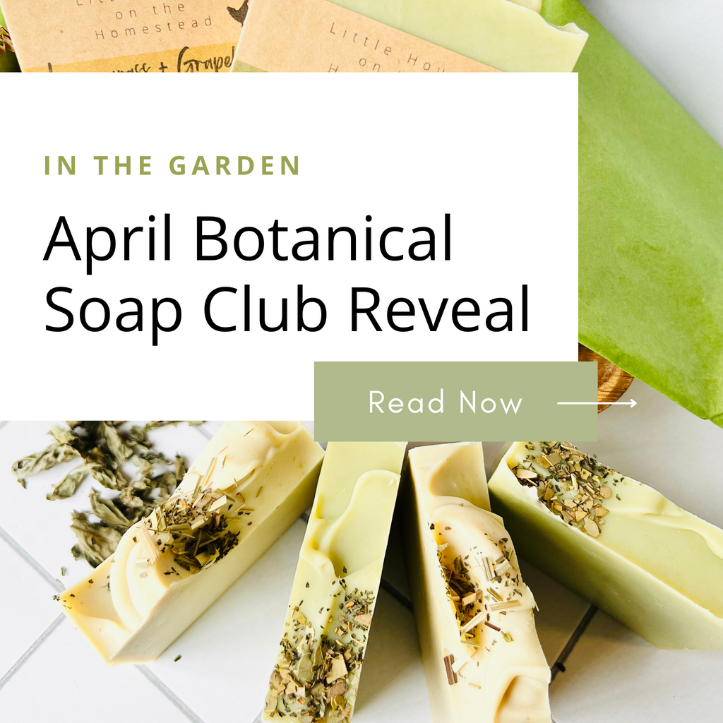 In the Garden | April Botanical Soap Club 2024