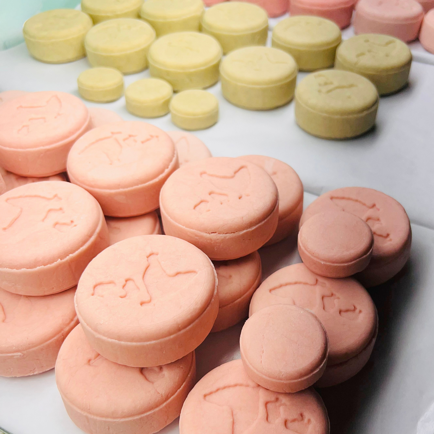 Spring Wildflower Meadow Haircare Bundle