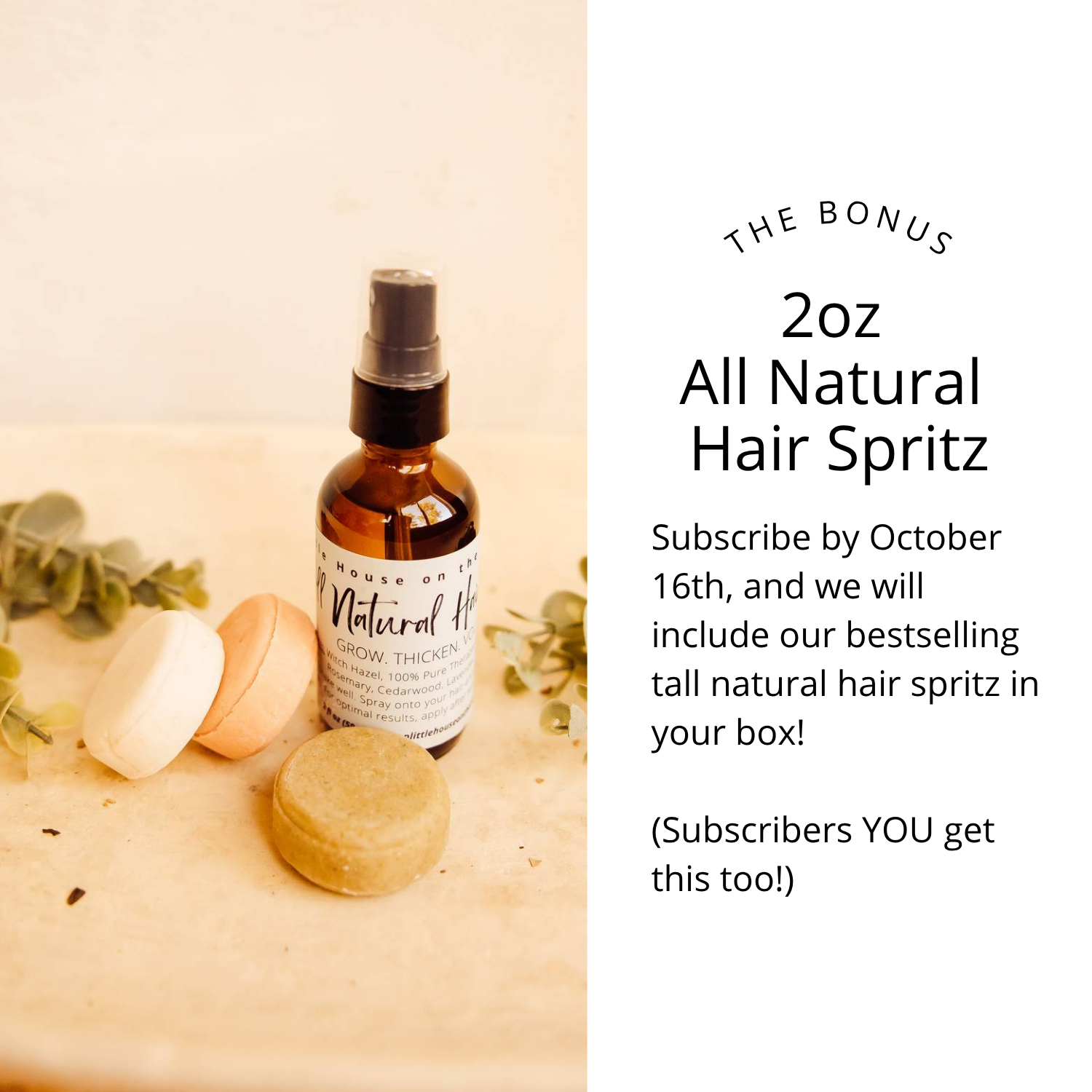 The Haircare Collective Subscription Box