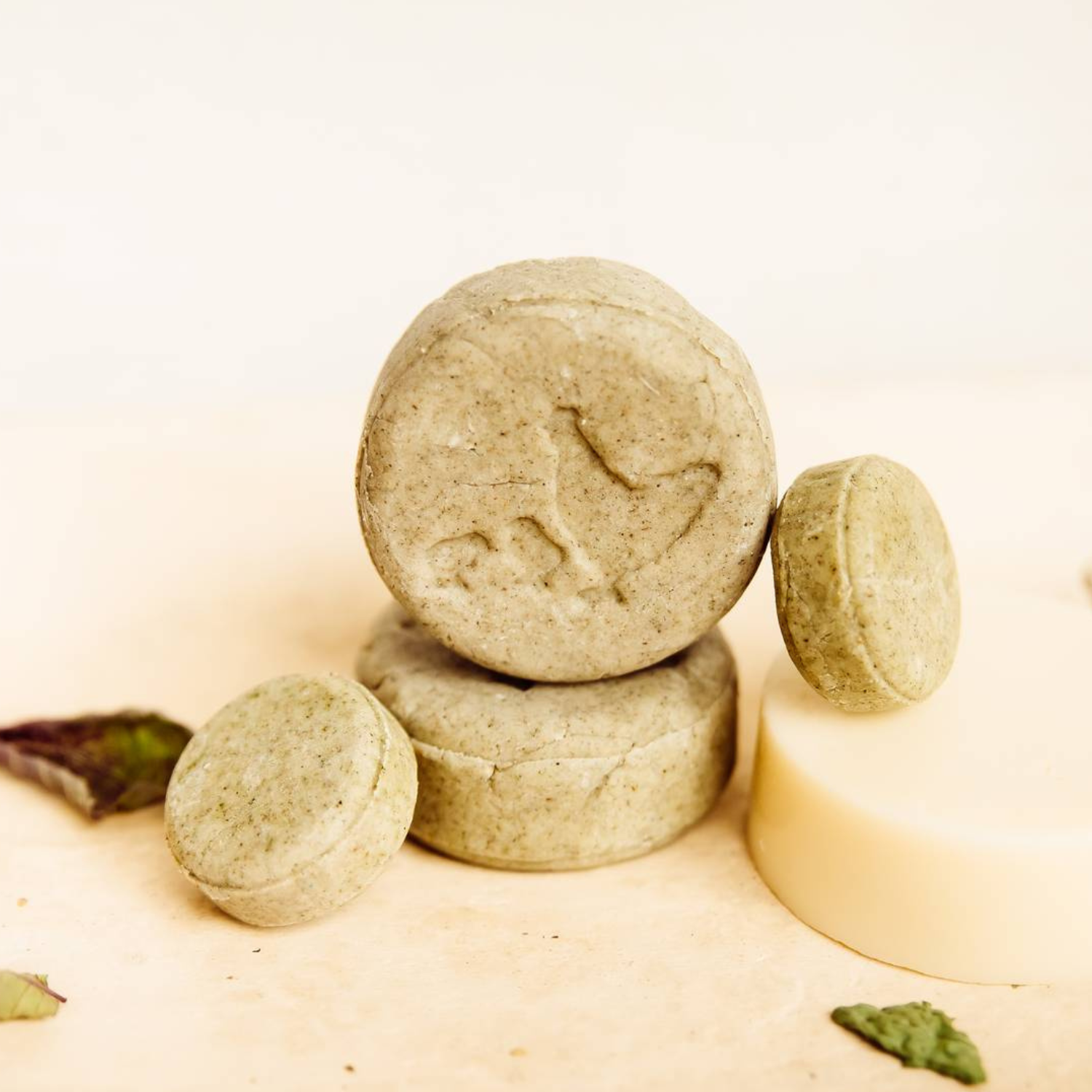 Holiday Gift Box (Pre-Order)