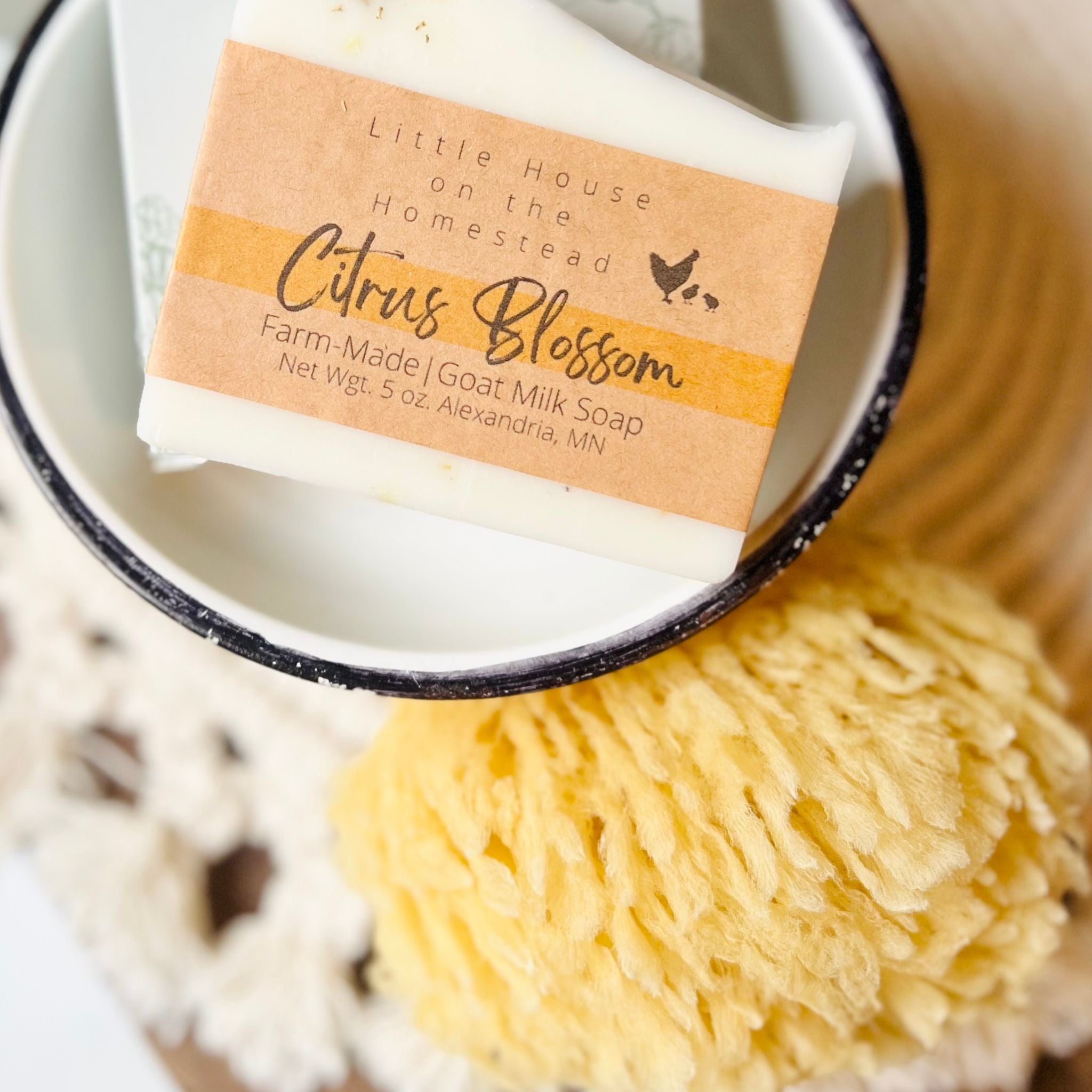 Wool Sea Sponge
