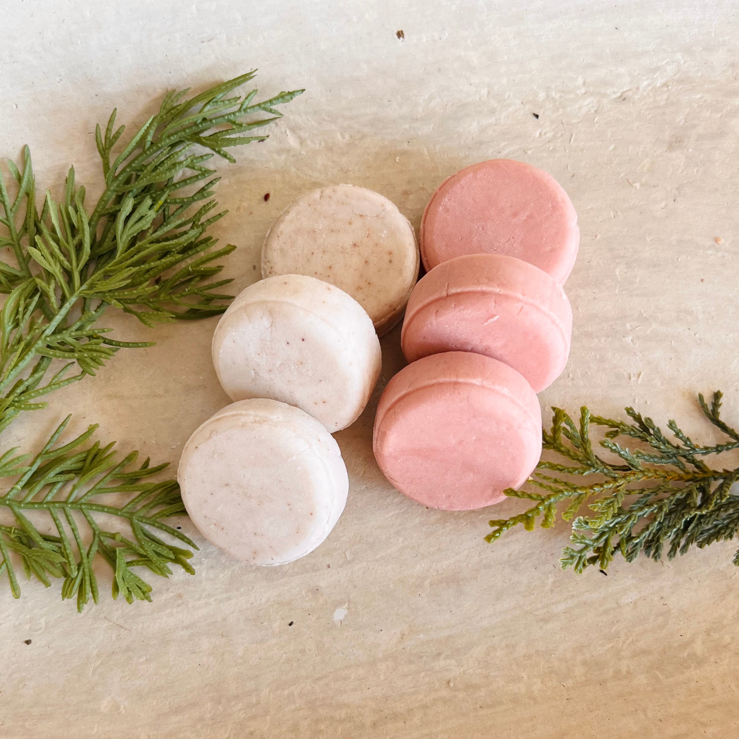 Holiday Mini Shampoo Bars