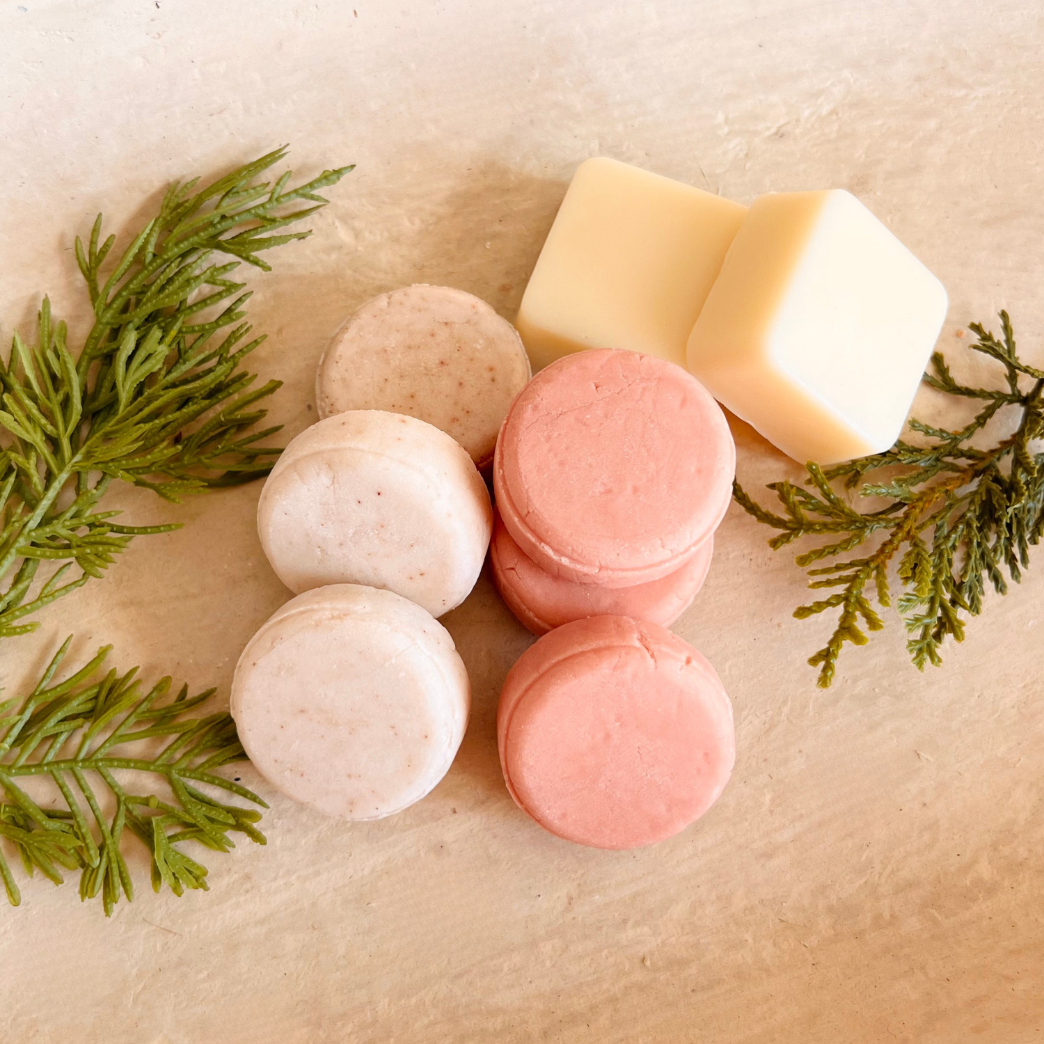 Holiday Mini Shampoo Bars