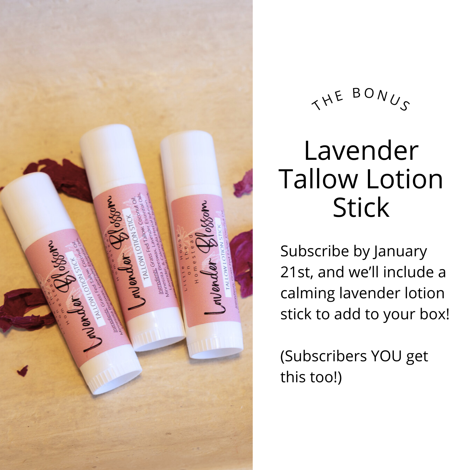 The Haircare Collective Subscription Box