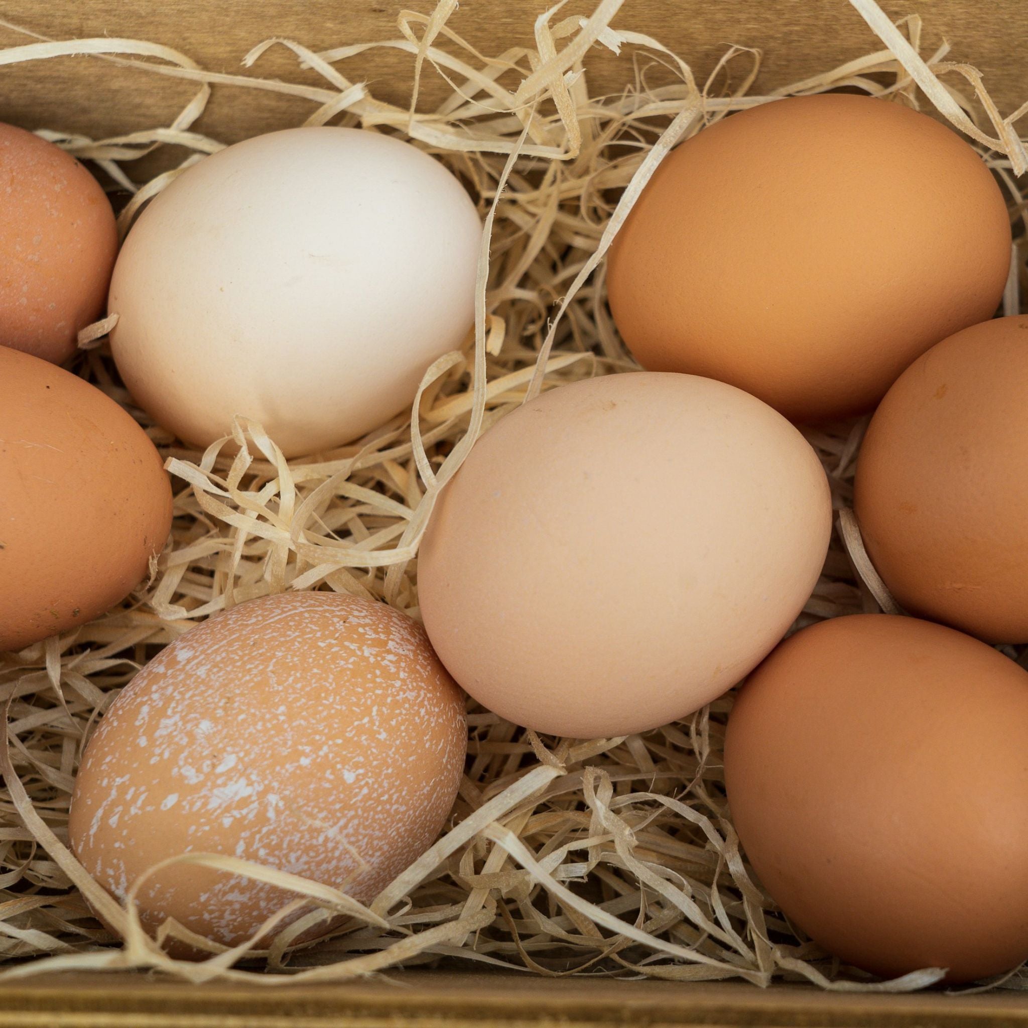 Farm-Fresh Egg CSA Subscription
