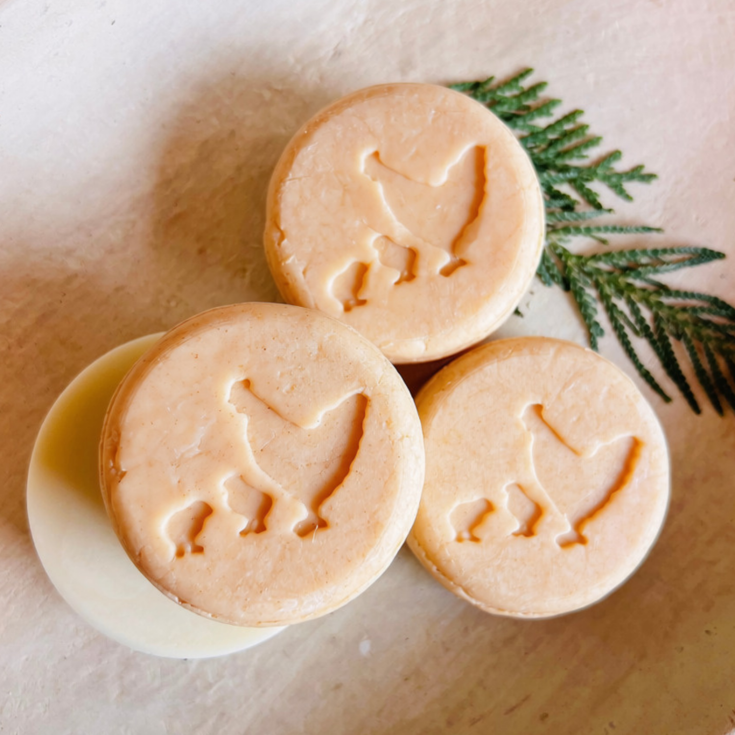 Orange Grove Shampoo Bar – Limited Edition Fall Release