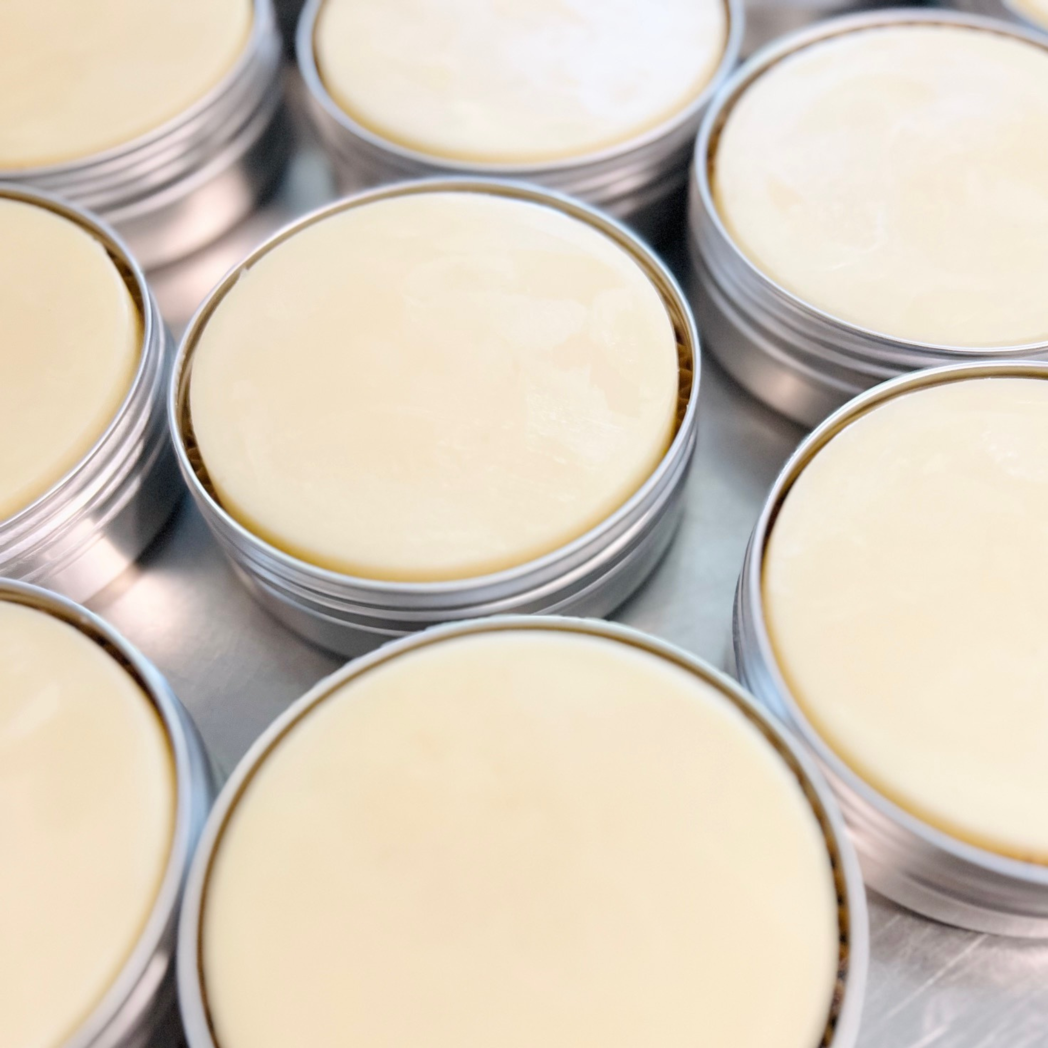 Tallow Lotion Bars