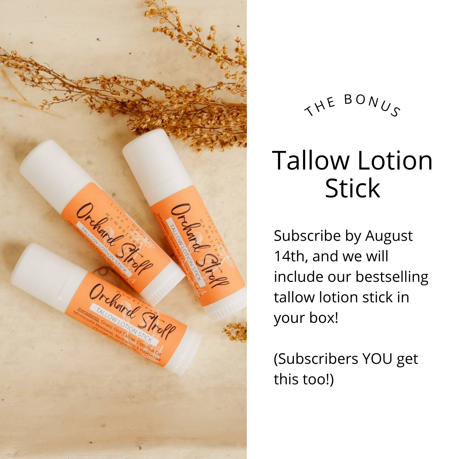 Botanical Soap Club Subscription