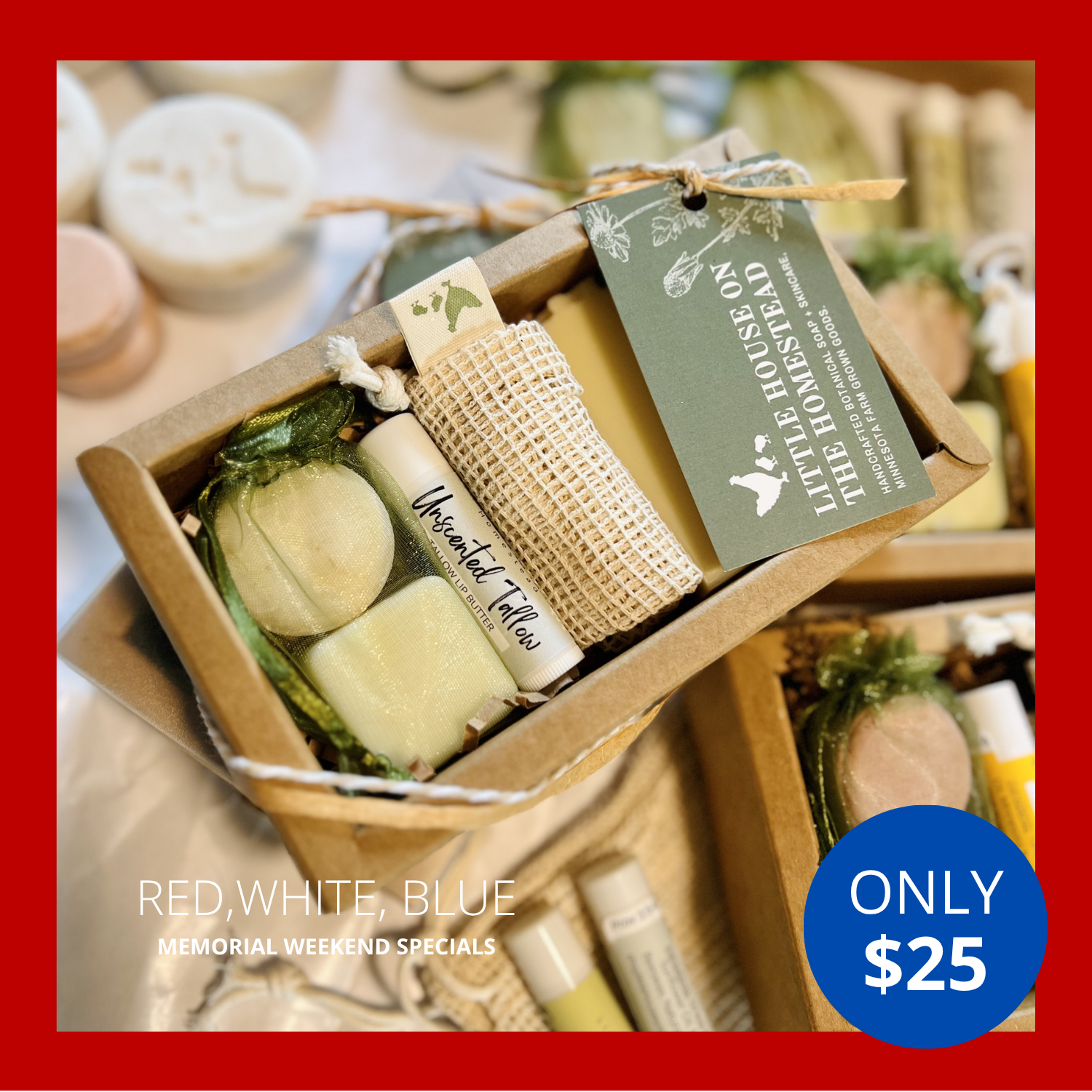 The Botanical Discovery Gift Set