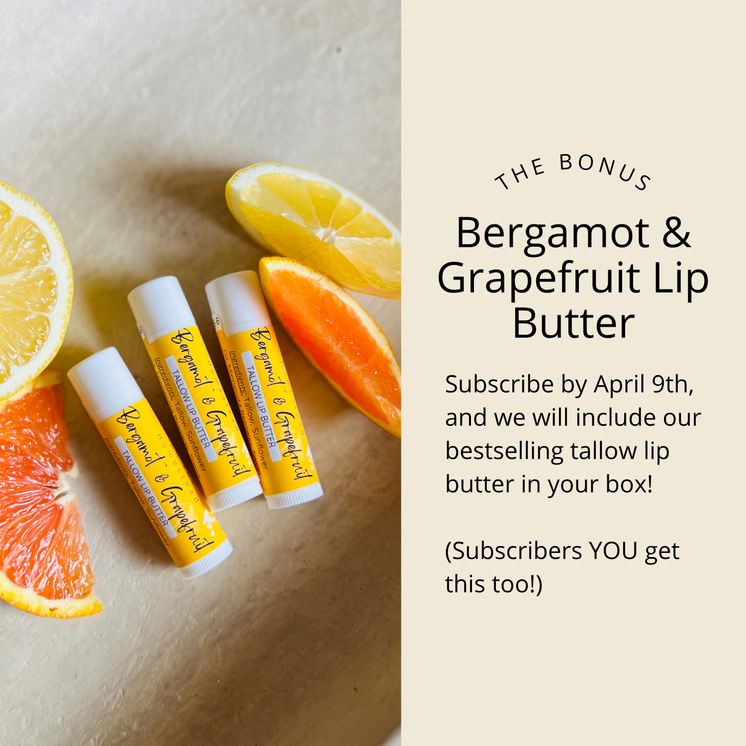 Botanical Soap Club Subscription